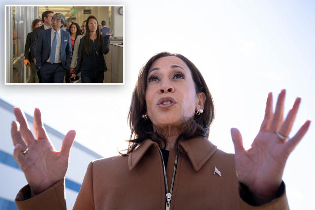 Vice President Harris has taken incoming from all sides over the war in Gaza.